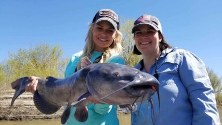 red river catfish