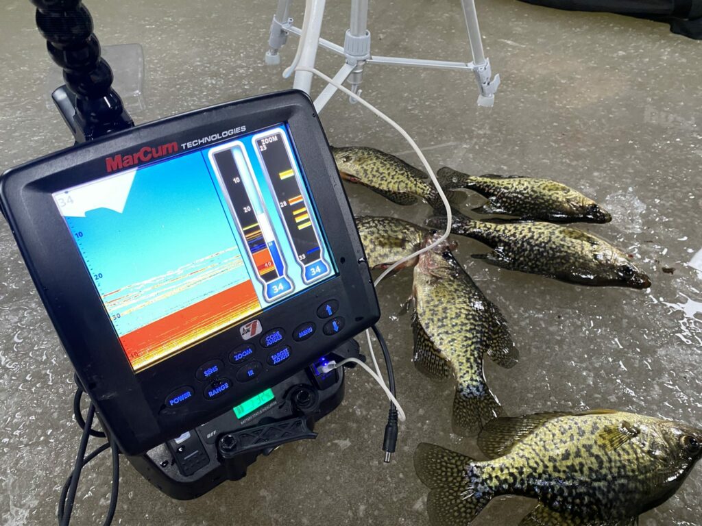 crappie on sonar