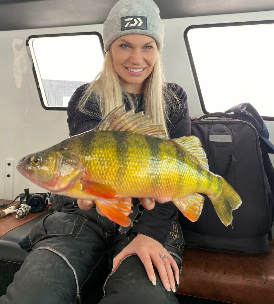 Devils Lake World Class Perch out of a SnoBear with Perch Patrol