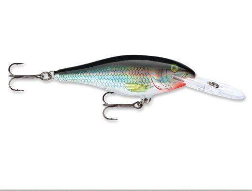 Rapala Shad Rap for Rainy River Walleye