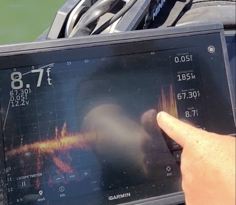 Max Wilson Livescope Tips