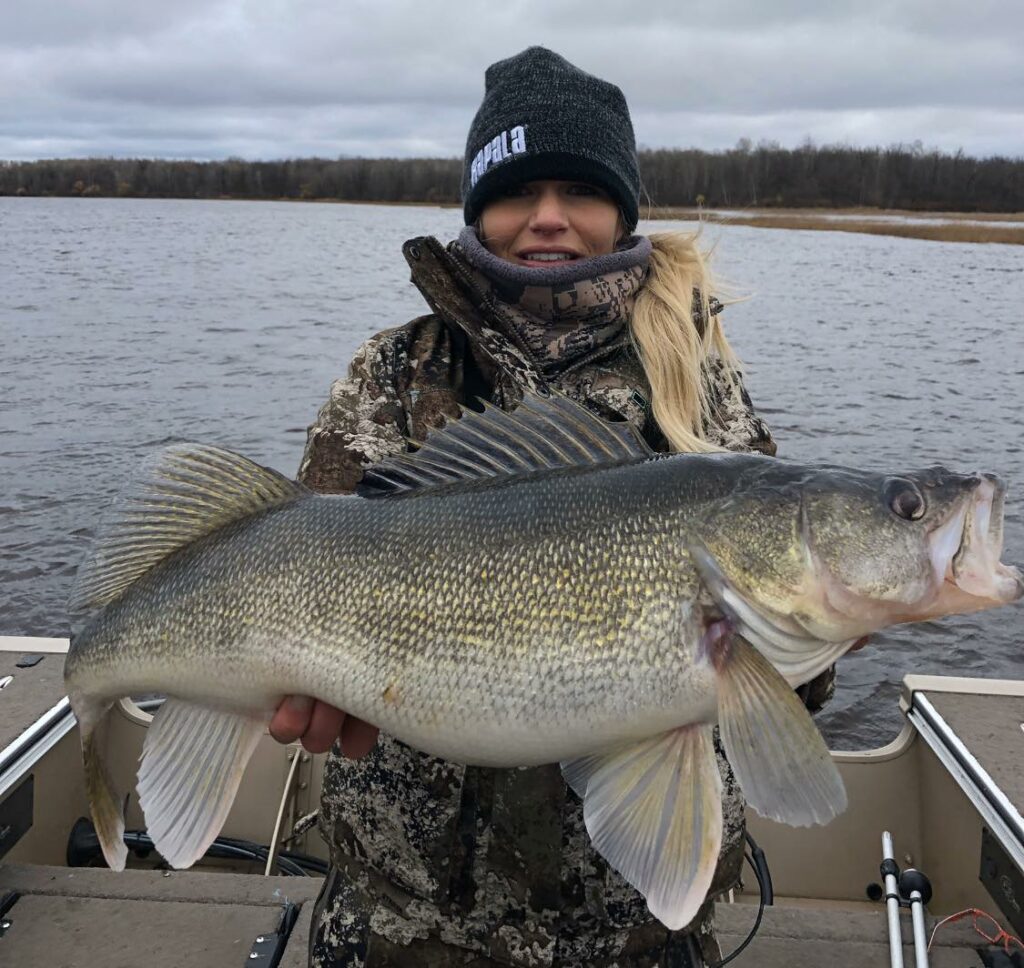 massive rainy river walleye from the fall