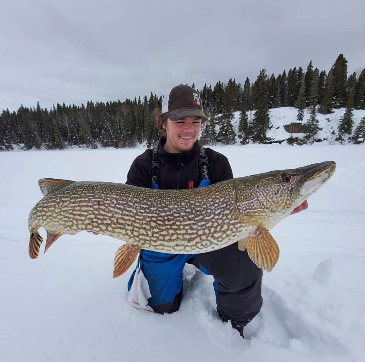 Best Lures for Ice Fishing Lake Trout - Virtual Angling