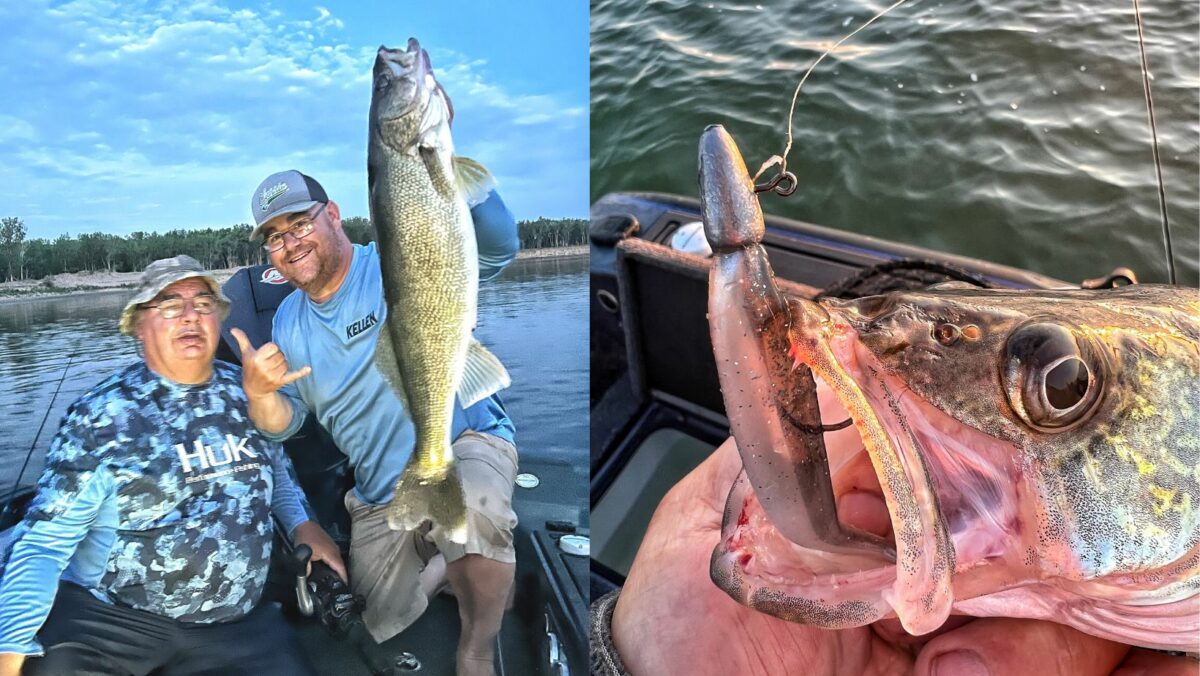 Snap Jigging Walleye