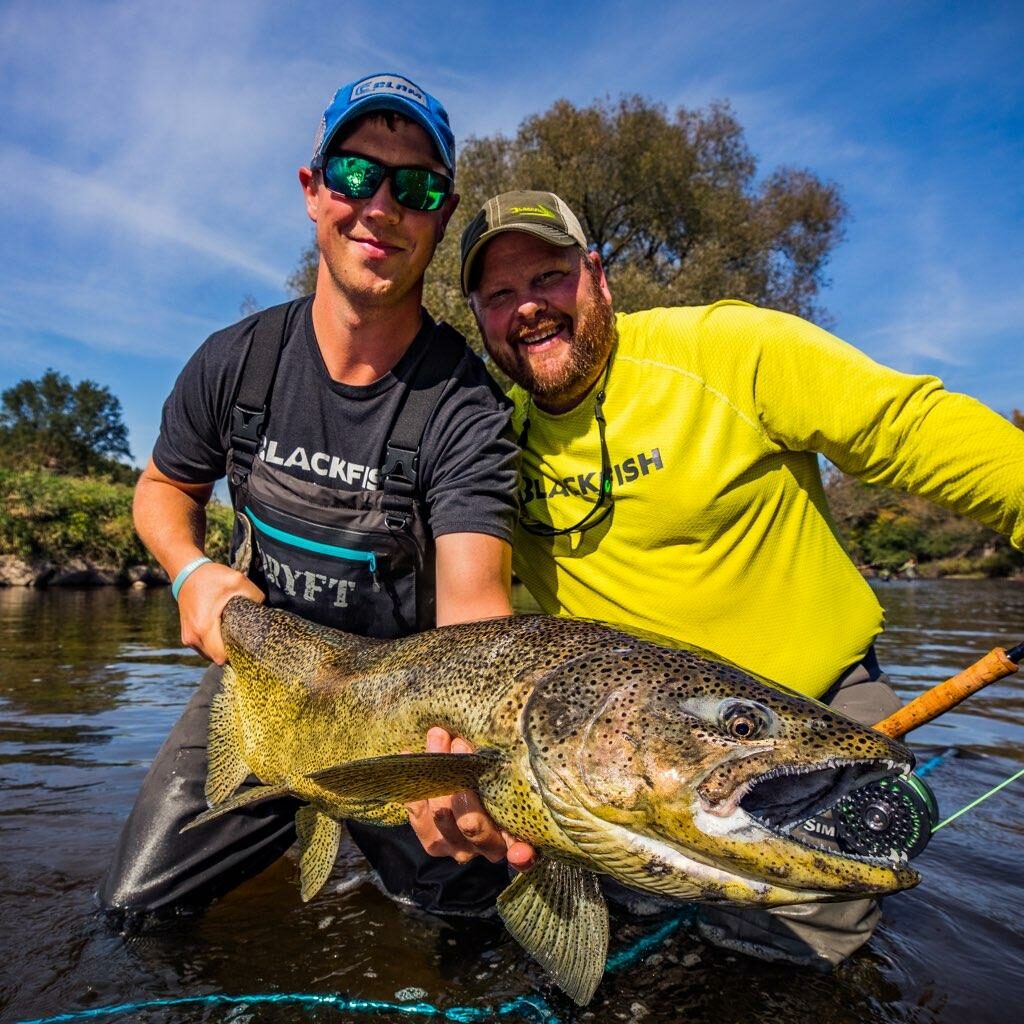 Salmon Region waters to be stocked with trout in August