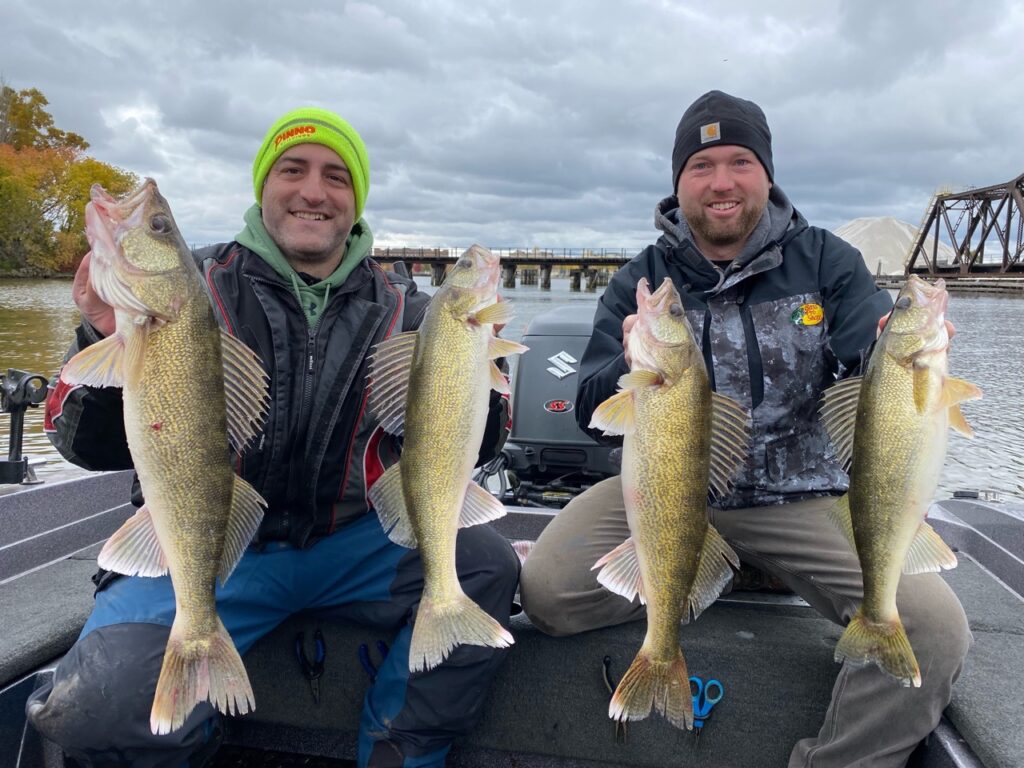 Fall Green Bay walleye on fox river