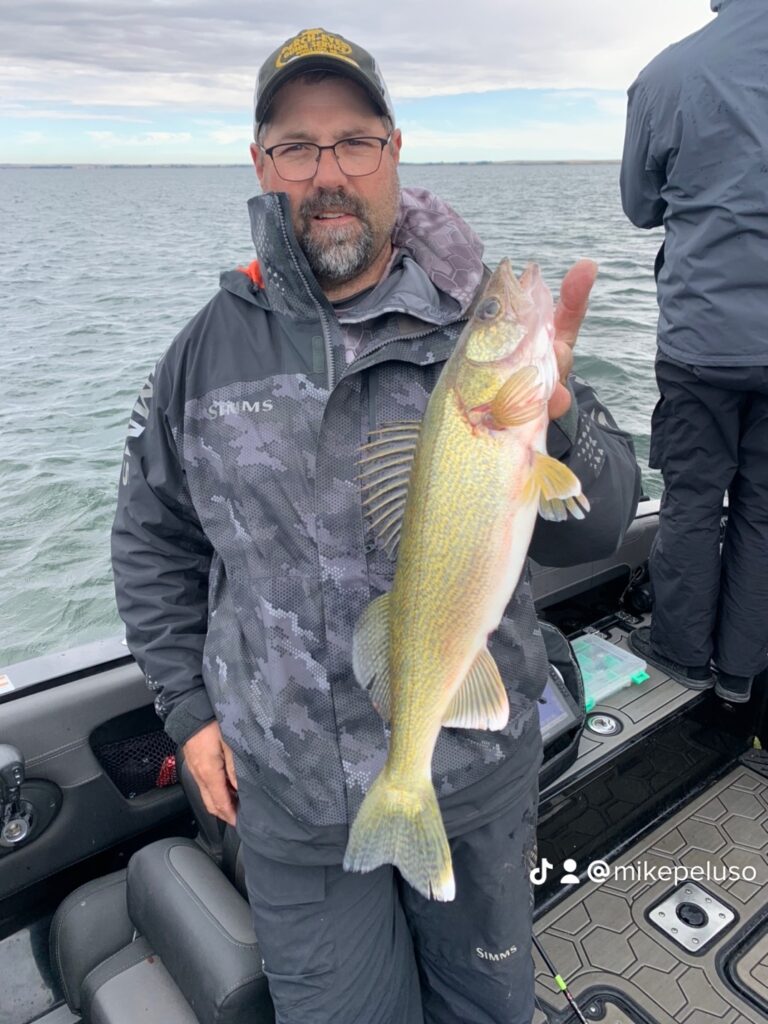 Fall walleye adjustments