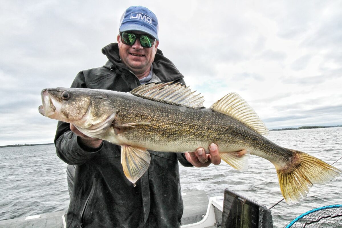 Jigging For Fall Walleye: Bulk Up Your Presentation Fall walleye jigging tips