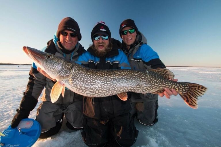 Trophy Pike Fishing Lake of the Woods