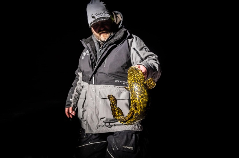 How to Fish Eelpout - Virtual Angling