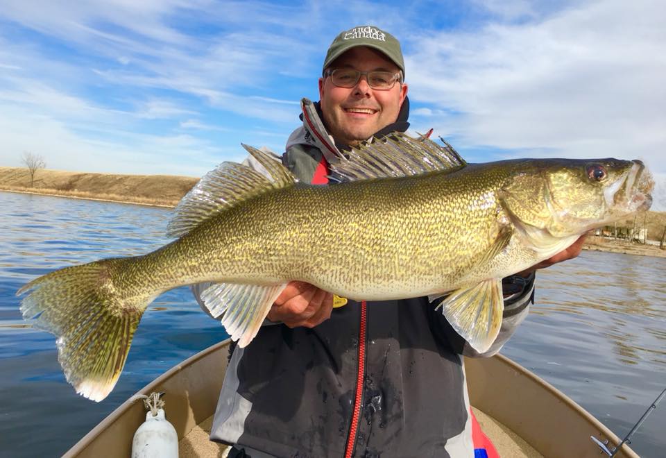 ChatterBait-style Lures Gaining Popularity among Walleye Experts