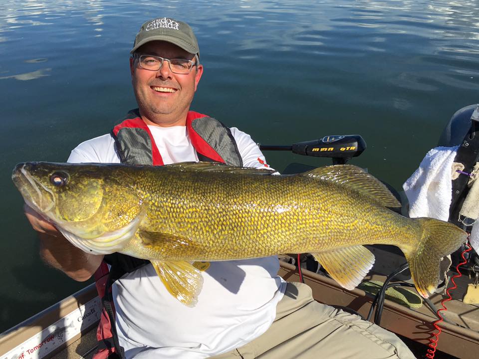 Chatterbaits for walleyes, Small river tactics, Massive European perch –  Target Walleye