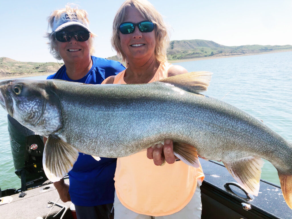 Lake Trout on Fort Peck: The June & July Vertical Jigging Bite