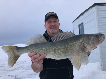 Best Line Test for Walleye