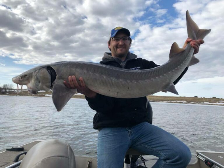 Sturgeon Fishing Rainy River The Ultimate Guide Virtual Angling