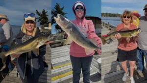 Incredible spring walleye fishing on Kabetogama Lake from the dock at Driftwood Lodge Resort