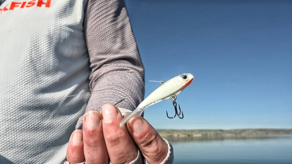 Pitching Puppet | A close-up of a fishing lure being held by a fisherman, with a lake and sky in the background.