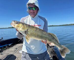 Short Shank Tungsten Jigs and Eye Candy Jig Crawler