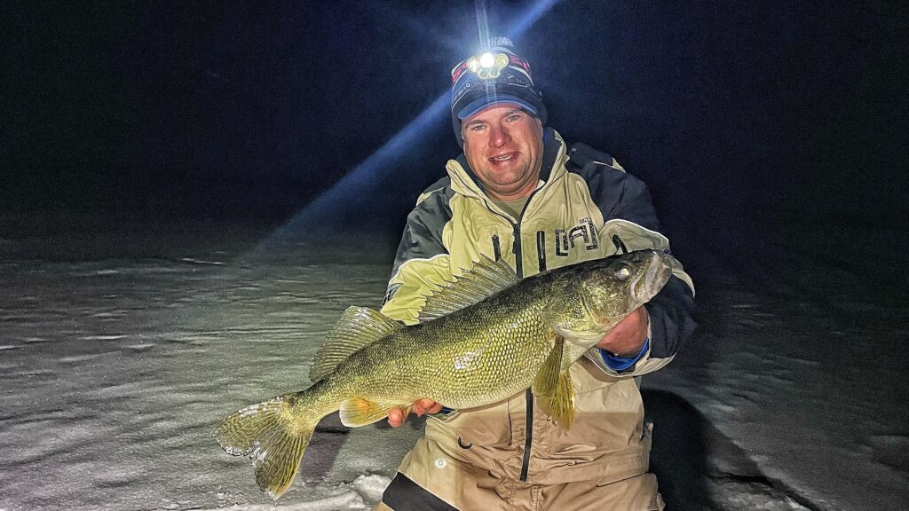 Angler holding a walleye at night, demonstrating spook factor tips from the early ice walleye guide.